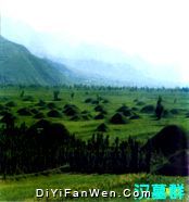廣武漢墓圖片
