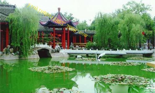 八里河圖片