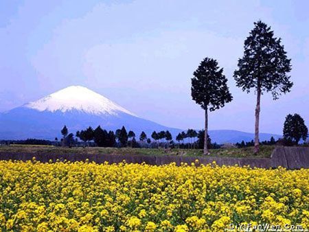 日本富士山圖片
