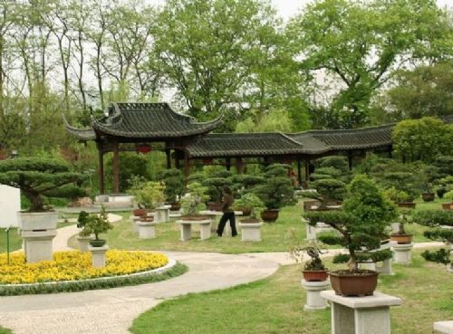 揚州盆景園圖片