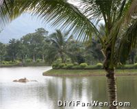 興隆熱帶植物園圖片