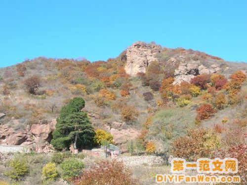 遼寧雙井寺圖片