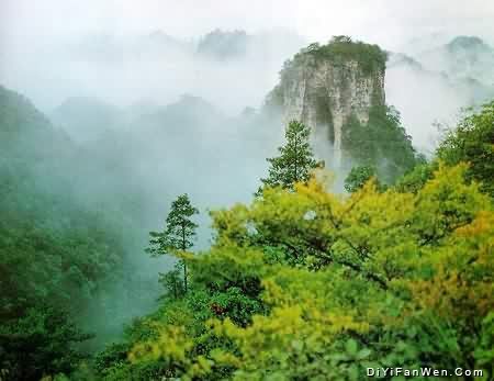 梵淨山圖片