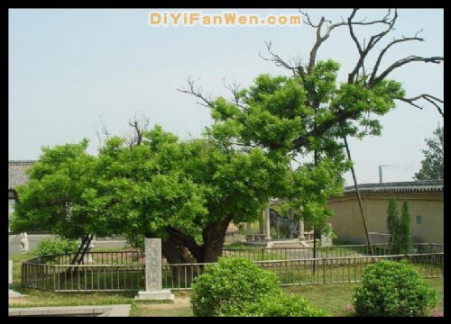 江蘇項王故里圖片