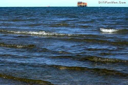 青海湖風光圖片