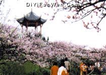 龍泉風景旅遊區圖片