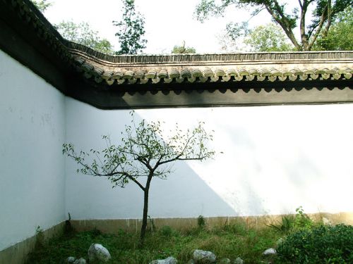 金陵之攝圖片