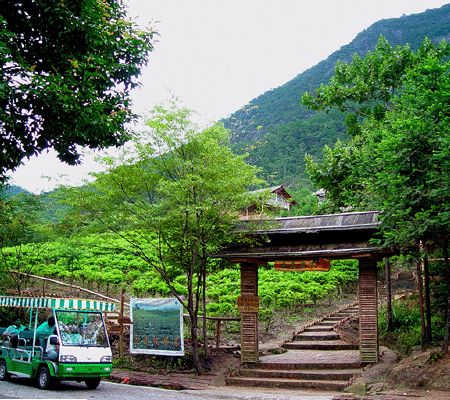 姑婆山國家森林公園圖片