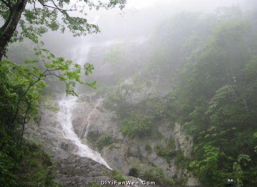 湖北九宮山森林公園圖片