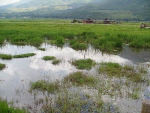 雲南騰衝北海濕地圖片
