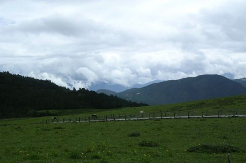 雲南氂牛坪風光圖片