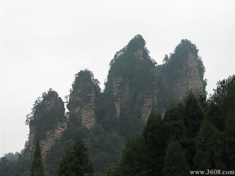 江西五指峰圖片
