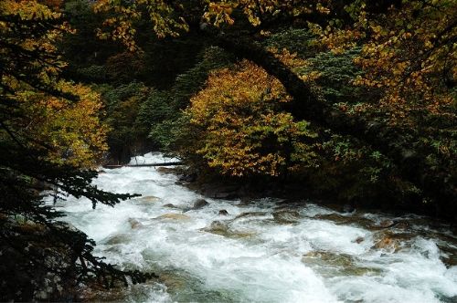四川康定木格錯圖片