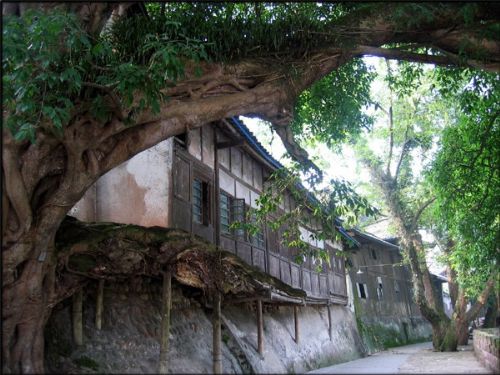 四川柳江古鎮圖片