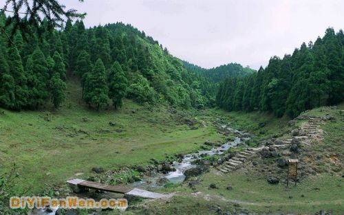 大容山森林公園圖片