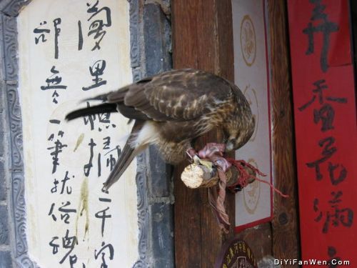 奧地利圖片