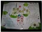 語文手抄報：我家花園的秋天