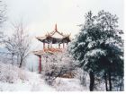 北山公園