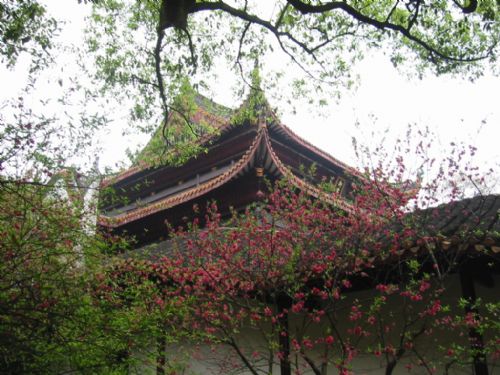嶽麓山圖片