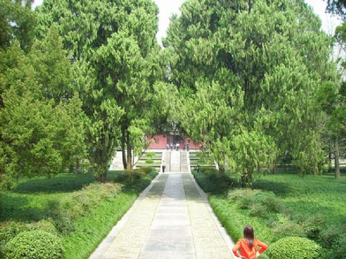 鐘山景區圖片