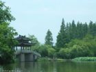 曲院風荷美景