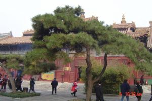 北京雍和宮圖片1圖片