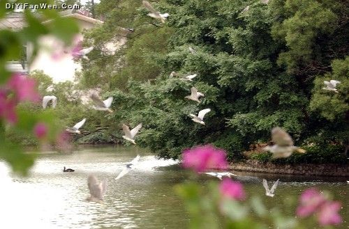西郊動物園圖片