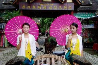 西雙版納傣族園圖片