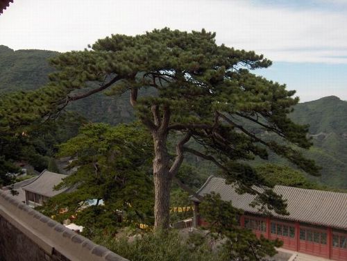 北京妙峰山風光圖片