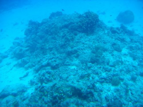 塞班島圖片