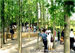 馬岙旅遊區圖片
