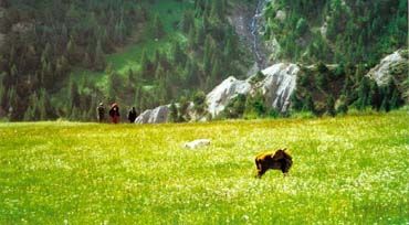 阿合奇旅遊十景圖片