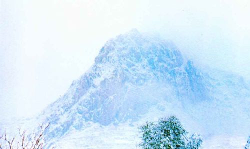 平定冠山森林公園圖片
