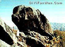 朱雀山森林公署圖片