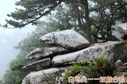 大別山主峰景區