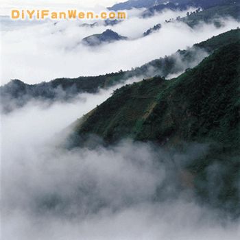 哀牢山自然保護區圖片