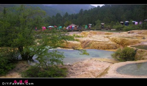 雨中黃龍圖片