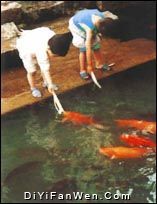 鯉魚溪圖片