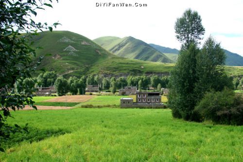 新都橋之夏圖片
