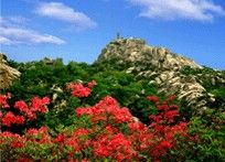 五蓮山圖片