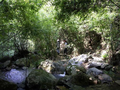 永春牛姆生態旅遊區圖片