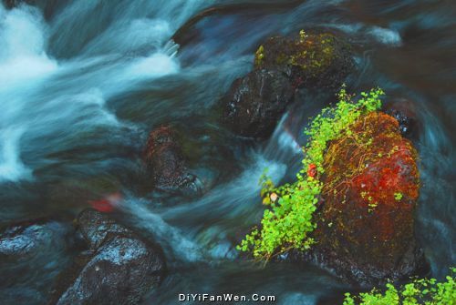 雲南騰衝黑魚河圖片