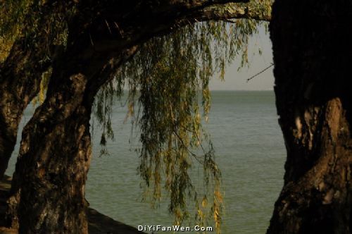 滇池秋色圖片