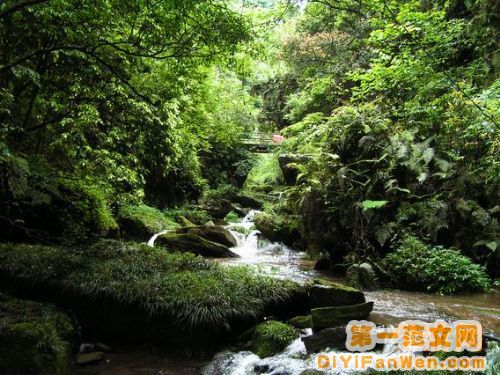 雅安二圖片