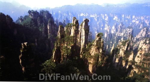 天子山風情圖片