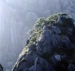 黃山風光圖片