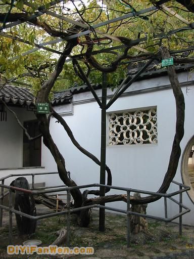 瞻園圖片
