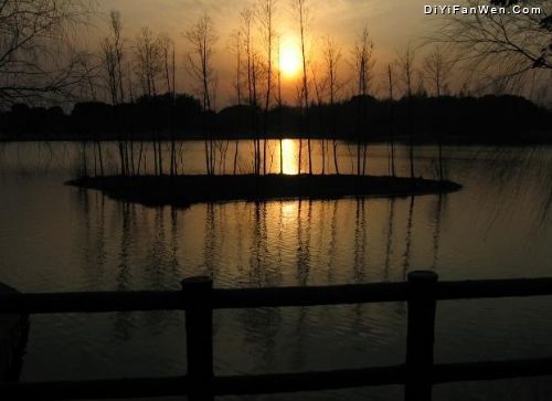 共青森林公園圖片