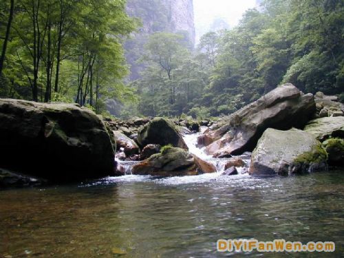 天子山風情圖片