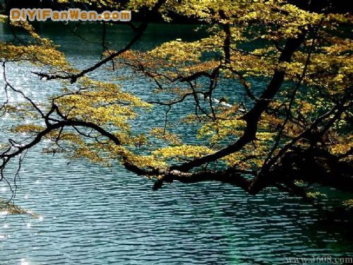 四川臥龍海圖片